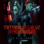 Se Hizo Tarde (feat. Nyno Vargas) artwork