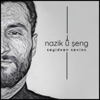 Nazik û Şeng - Single