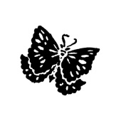 Butterfly artwork