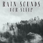 Rain Sounds For Sleep artwork