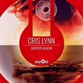 Never Know (Extended Mix) artwork