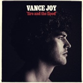 Vance Joy - Fire and the Flood