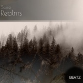 Realms artwork