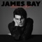 Wild Love - James Bay lyrics