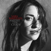 Sara Bareilles - Amidst the Chaos  artwork