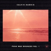 Calvin Harris - Hard to Love