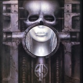 Brain Salad Surgery