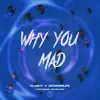 Stream & download Why You Mad - Single