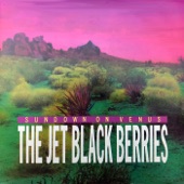 Jet Black Berries - Shakin' All Over