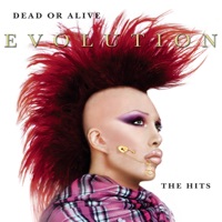 Dead Or Alive Ablum Cover