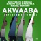 AKWAABA (Trinidad Remix) [feat. Patapaa, Pappy Kojo & Mr Eazi] artwork