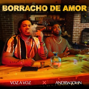 Voz a Voz & Andrw John - Borracho de Amor - Line Dance Musique