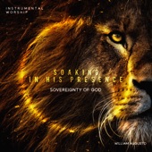 Soaking in His Presence: Sovereignty of God artwork
