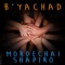 B'yachad - Mordechai Shapiro lyrics