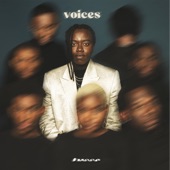 Voices artwork