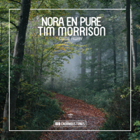 Nora En Pure - Come Away (feat. Tim Morrison) artwork