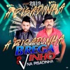 Forrozão Brega E Vinho - Tá de Olho no Viado