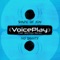 Shape of You No Diggity (feat. Matthew Darren) - VoicePlay lyrics