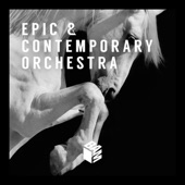 Epic & Contemporary Orchestra artwork