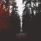 Niebieskooka - Lustro lyrics