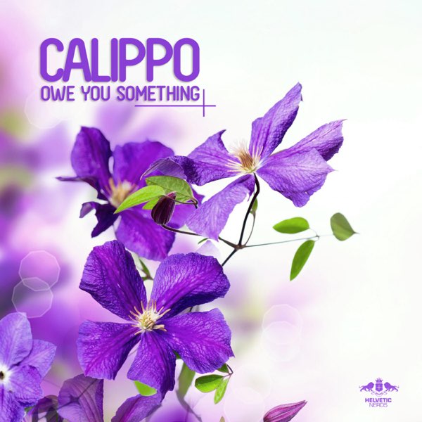 Owe You Something - EP by Calippo on Apple Music