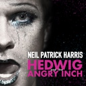Hedwig and the Angry Inch - Original Broadway Cast - Midnight Radio