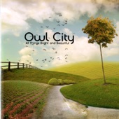 Owl City - The Real World