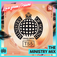 Craig David - The Ministry Mix Feb '19 (DJ Mix) artwork