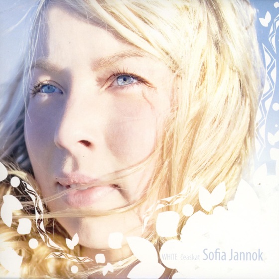 Cover artwork for Liekkas (Warm)