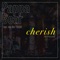 Cherish (Re-Visited) [feat. Jan van der Toorn] artwork