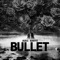 Bullet - Audi BanYo lyrics