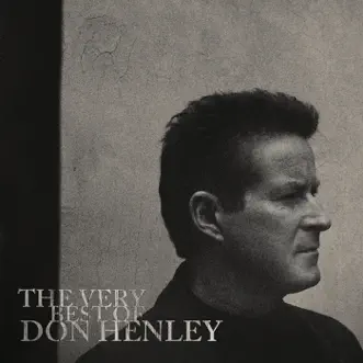 Not Enough Love In the World by Don Henley song reviws