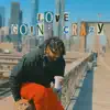 Love Goin' Crazy - Single album lyrics, reviews, download