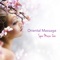 Spa Massage (Guitar Music and Ocean Waves) - Massage Therapy Ensamble lyrics