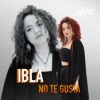 No Te Gusta by IBLA iTunes Track 1