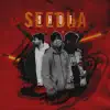 Seedha Shot - Single album lyrics, reviews, download