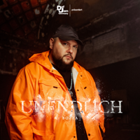 Bozza - Unendlich artwork