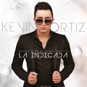 La Indicada artwork