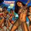 Good Old Dancehall Vibes (feat. Big Youth) song lyrics