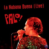 La Habana Buena (Live) artwork