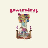 Bowerbirds - SBSF