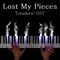 Lost My Pieces (Toradora! Original Soundtrack) - PianoDeuss lyrics