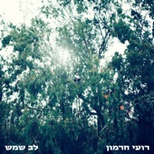 רכבת artwork