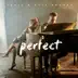 Perfect - Single album cover