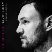 David Gray - From Here You Can Almost See the Sea