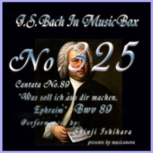 Cantata No. 89, 'Was soll ich aus dir machen, Ephraim'', BWV 89: 4. Rezitativz, BWV 89 (Musical Box) artwork
