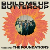 The Foundations - Build Me Up Buttercup (Mono)