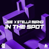 In the Spot artwork