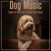 Dog Music: Songs to Help your Anxious Dog Sleep artwork
