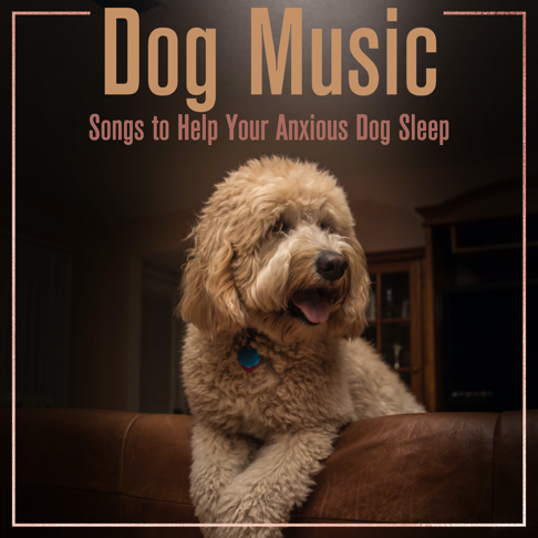 dog sleep music songs
